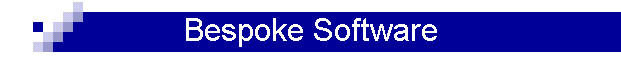 Bespoke Software